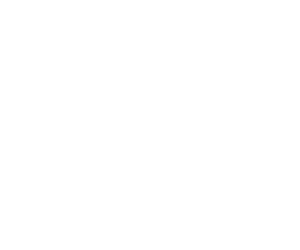 Costumized Solutions - Beship Brokers